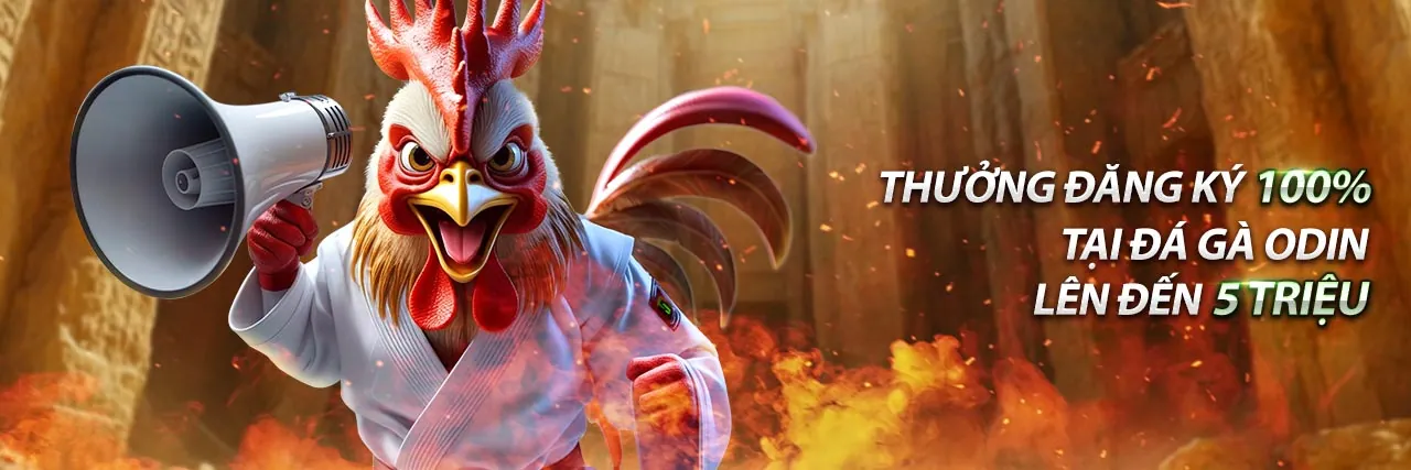 Đá gà SV388 trực tiếp tại trường gà sôi động